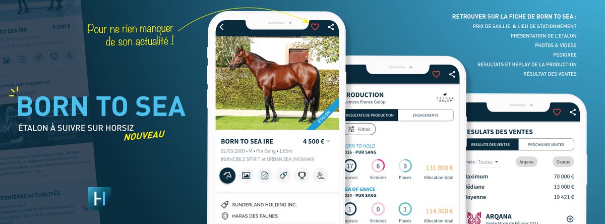 Horsiz1's tweet photo. BORN TO SEA (@HarasdesFaunes) rejoint le répertoire des étalons #HORSIZ !
Les plus :
❤️ Notifications de son actualité à l'année #favoris
📲 Fiche détaillée de #BorntoSea et de sa production en course et aux ventes
🥇Statistiques inédites, résultats et replay des courses https://t.co/0T4t5FQTDl
