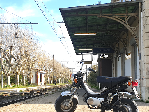 Strategy2Web's tweet photo. https://t.co/VvDBIx2tOt
#passionmob #locationmobylettes #baladeenmobylette #alpilleslovers #alpillesprovencetourisme #alpillesenprovence #peugeot103 #mobylette #mobylettes #moped #vintage #mbk #mbk51 #piaggiociao #baladeenmob #baladedujour #yamaha #chappy 
https://t.co/7eOCrnVu25 https://t.co/UtmcgOP06T