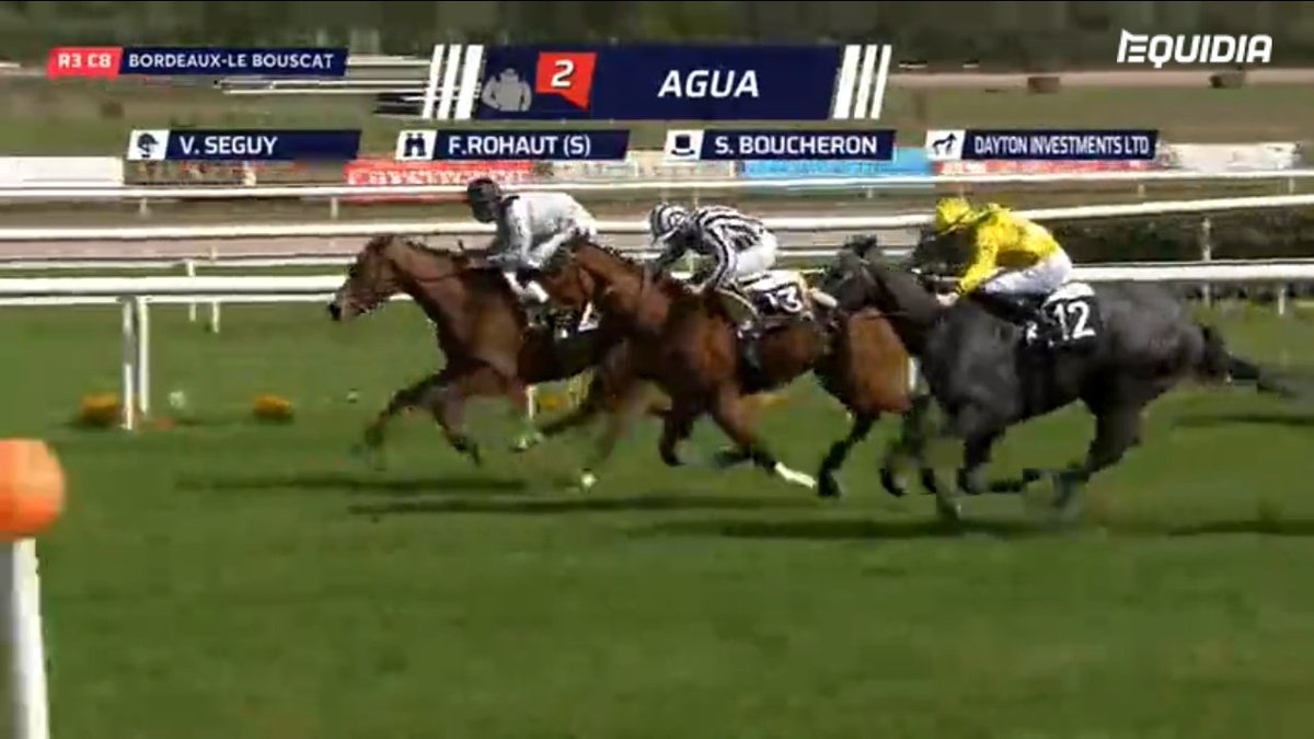 Wildenstein Breeding - FanPage (@bleuballymore) on Twitter photo 3️⃣rd win for AGUA...
AGUA, by <a href="/coolmorestud/">Coolmore</a> HOLY ROMAN EMPEROR from Listed winner, G3 placed ANDROMEDA GALAXY, wins at Bordeaux 🇨🇵, with <a href="/SeguyValentin/">Valentin</a>, trained by <a href="/RohautRacing/">Ecurie Rohaut</a>.
📌 Sold €160.000 by <a href="/TheCastlebridge/">The Castlebridge Consignment</a> to <a href="/MAB_Agency/">Marc Antoine Berghgracht</a> at Wildenstein Stables Dispersal <a href="/Goffs1866/">Goffs</a> 3️⃣rd win for AGUA...
AGUA, by <a href="/coolmorestud/">Coolmore</a> HOLY ROMAN EMPEROR from Listed winner, G3 placed ANDROMEDA GALAXY, wins at Bordeaux 🇨🇵, with <a href="/SeguyValentin/">Valentin</a>, trained by <a href="/RohautRacing/">Ecurie Rohaut</a>.
📌 Sold €160.000 by <a href="/TheCastlebridge/">The Castlebridge Consignment</a> to <a href="/MAB_Agency/">Marc Antoine Berghgracht</a> at Wildenstein Stables Dispersal <a href="/Goffs1866/">Goffs</a>