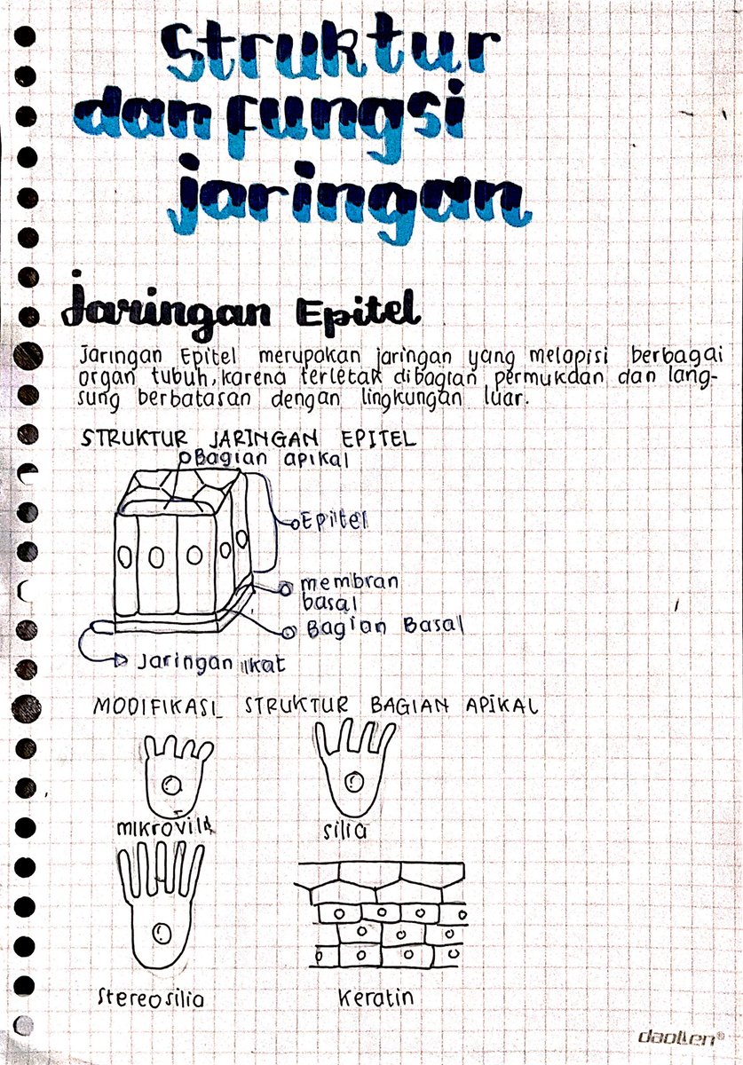 seblakc56223132's tweet photo. Biologi 
Bab : struktur dan fungsi jaringan pada hewan 
Materi kelas 11 https://t.co/tz7fFeDCdH