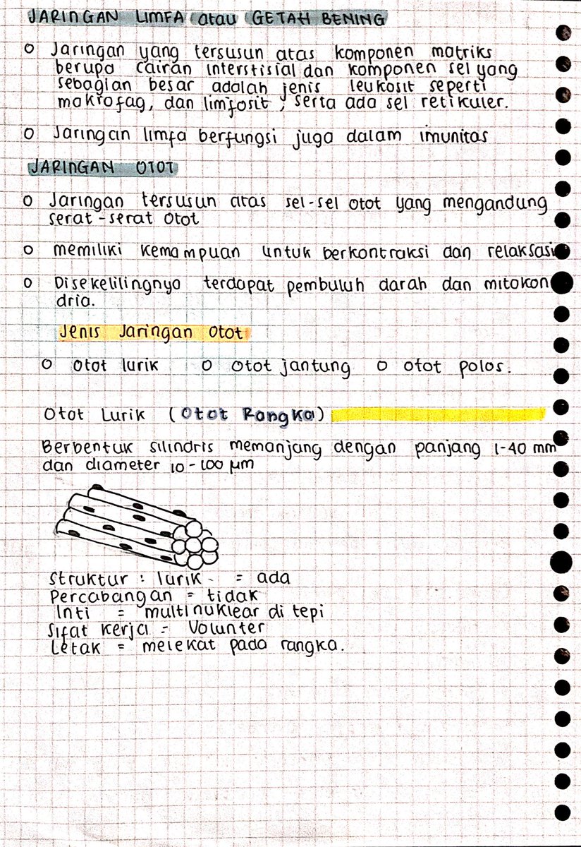 seblakc56223132's tweet photo. Biologi 
Bab : struktur dan fungsi jaringan pada hewan 
Materi kelas 11 https://t.co/tz7fFeDCdH