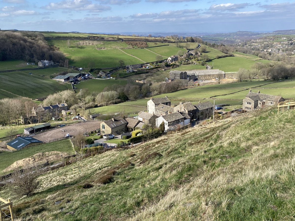 Paul Taylor tweet media