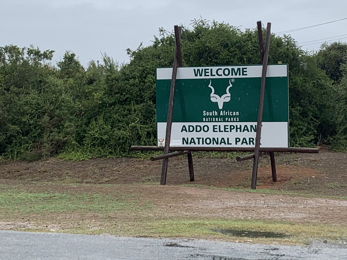 DevMatchRef's tweet photo. A wonderful time spent at the Addo National Park. Perfect weather with drizzle to drive through one of our country’s treasures. #addonationalpark #sanpark #sharesouthafrica #easterncape #tourism #birds #elephants #animals https://t.co/O2tcruHxJz