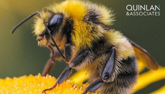 To help deliver innovation today, it's important to develop a firm-wide strategy, centralize efforts with the right team, institute a robust process, and create appropriate success metrics. <a href="/ConsultancyAsia/">Consultancy.asia</a> buff.ly/3dvspdf