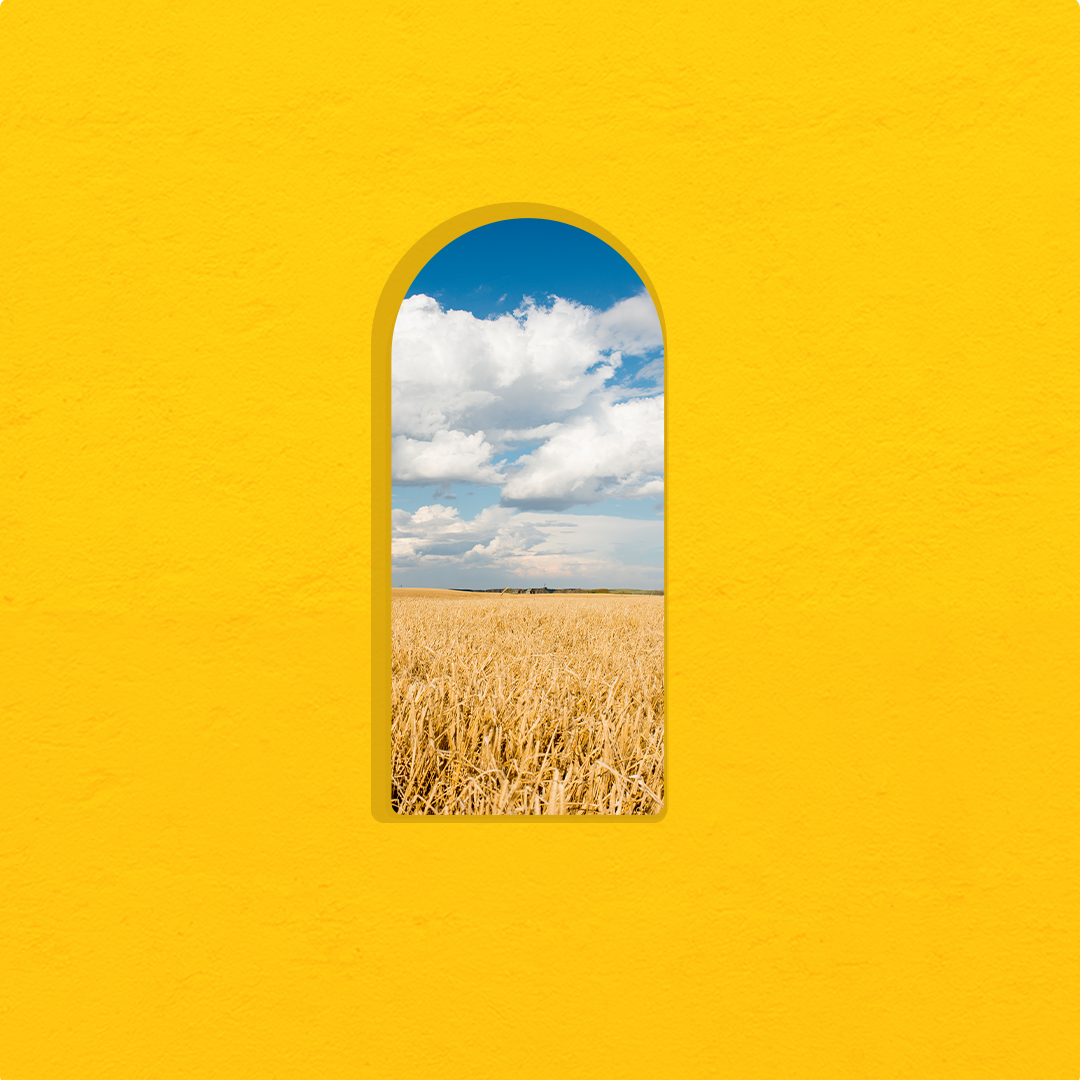 prairiemalt's tweet photo. As the weather thaws and barley crops are seeded across the Prairie region, we're reminded of the emotions that we experience at the beginning of every growing season: optimism, joy and thanks.

#OurWorldIsYours #CraftBeer #Barley #Malt #Saskatchewan #Grow2Row #Cheers #Beer https://t.co/y76NikPg7O