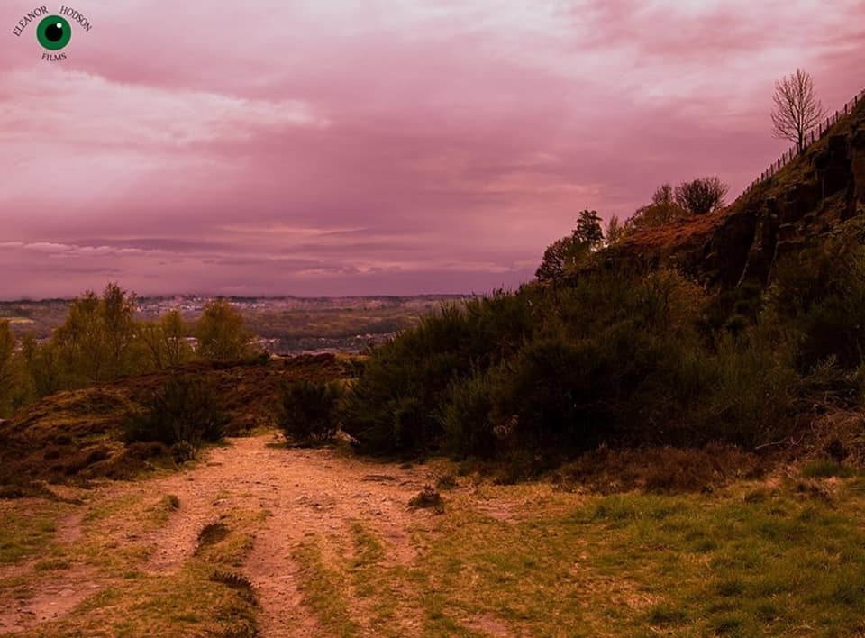 EleanorHodson's tweet photo. Purple Sky!! 💜

#purplesky #GoodFriday2021 #GoodFriday #photoshoot #throwbackfriday #wildlife #digitalartist #UKPhotographer #pleaseretweet #dropafollow https://t.co/3vnDr1AWnQ