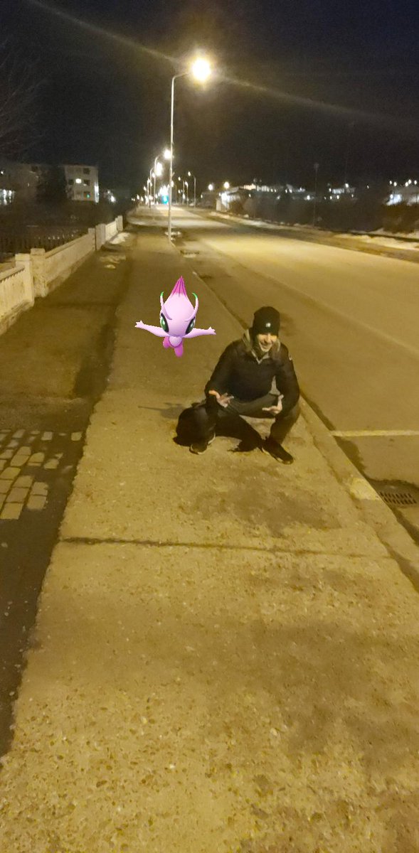LexiPain55's tweet image. Ayoo caught these pokemon yesterday #ezdub