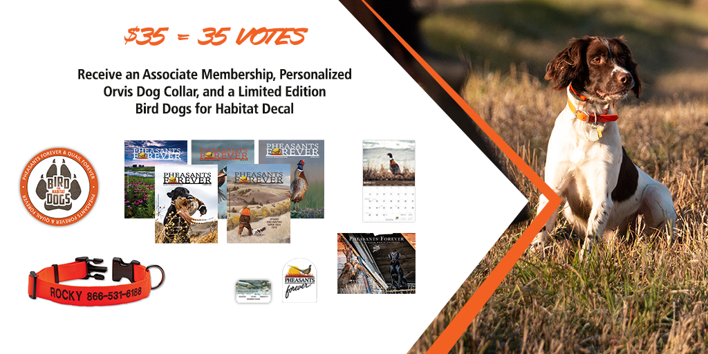 Bird Dogs for Habitat is off and running! $35 = 35 votes towards your favorite breed, a PF membership, AND a personalized <a href="/TheOrvisCompany/">The Orvis Company</a> dog collar. 

Don't let your breed fall to the back of the pack, vote today! pheasantsforever.org/bd4h 

#birddogsforhabitat #calloftheuplands