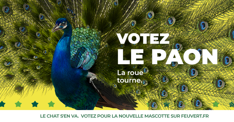 Feu Vert Le Tournant C Est Maintenant T Co Jkgxirwbfd Twitter