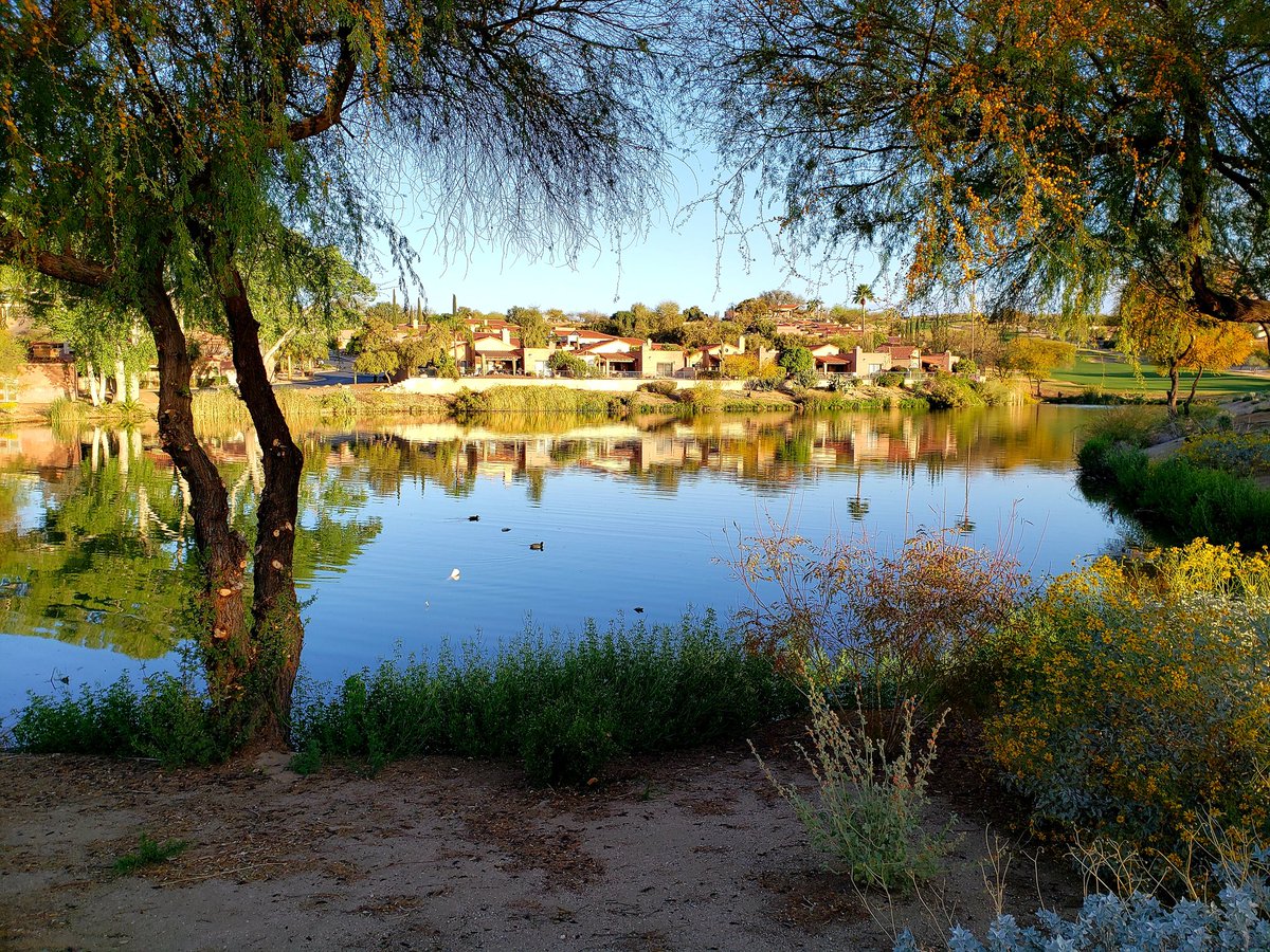 NOVA_Runner's tweet photo. Nice 5K morning run. I'm definitely not in DC anymore!
#runTucson #runAZ #fitness #health #cardio #running #runforgood https://t.co/3F618RnWT4