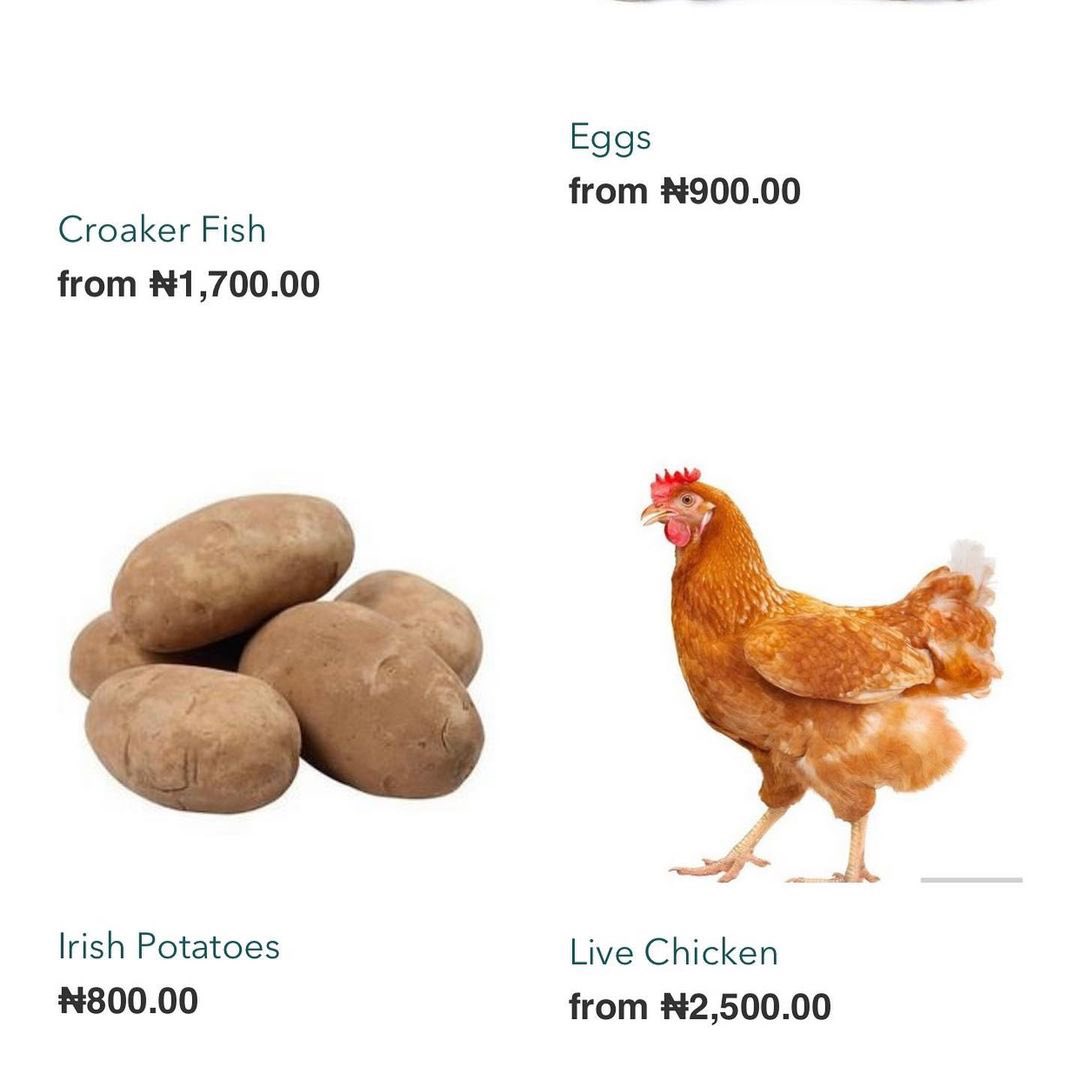 Innogreenstore's tweet photo. Yayyy!! It’s the Easter break. You probably want to cook something special for the family or for yourself but you don’t want to spend long hours in the market only to spend more time in the kitchen. 
Let us Eliminate half the stress for you by bringing groceries to your doorstep. https://t.co/SYX9gxiNI7