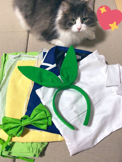 今日はバイトがありまして ヘトヘトです_:(&acute; `」 &ang;):_  でもでも  やりたいコスプレ届きちゃいました🥰🥰  今からYouTube撮影します!!  ファイト〜٩(๑>&forall;<๑)۶&hearts;Fight&hearts;  ウィッグがないので 不完全なコスプレですが、、、  何のコスかわかるかなー？🍀💚