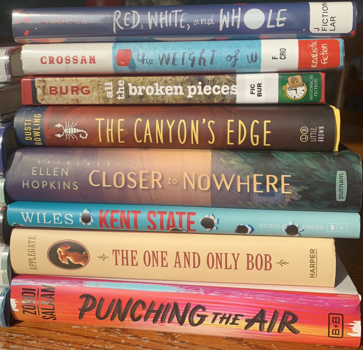 Why do I love April?? It’s time to read ALL the #NovelsInVerse. #NationalPoetryMonth is the best. Can’t wait to dig in to this stack. @EllenHopkinsLit @Dusti_Bowling @kaaauthor @ibizoboi @rajanilarocca @aida_writes @AimeeLucido @ellenhagan @SarahCrossan @kwamealexander @JP_Books