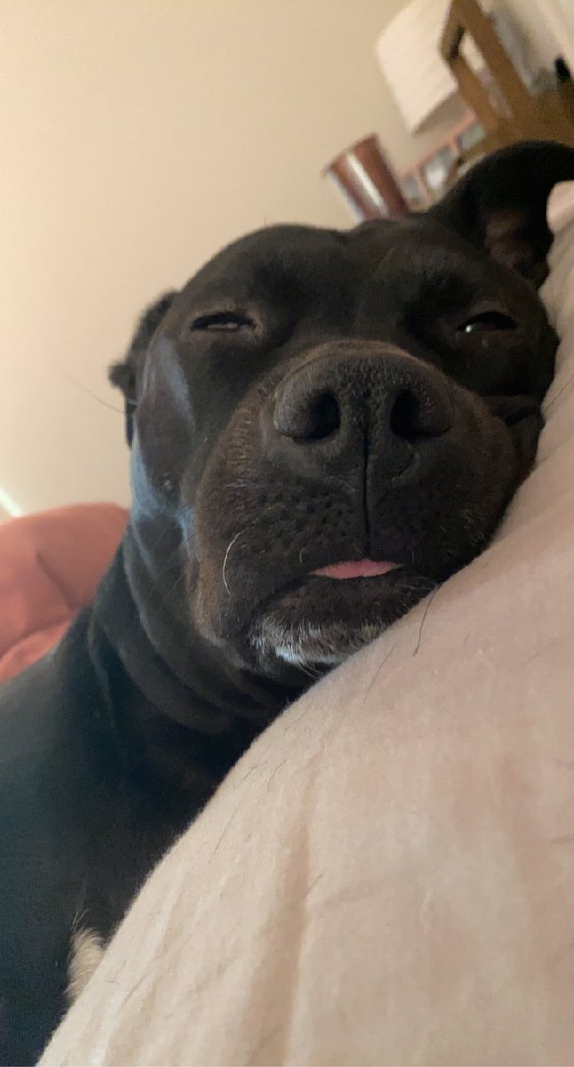 HHaxton's tweet photo. This is what I wake up to every morning https://t.co/sIovwDc3Ap