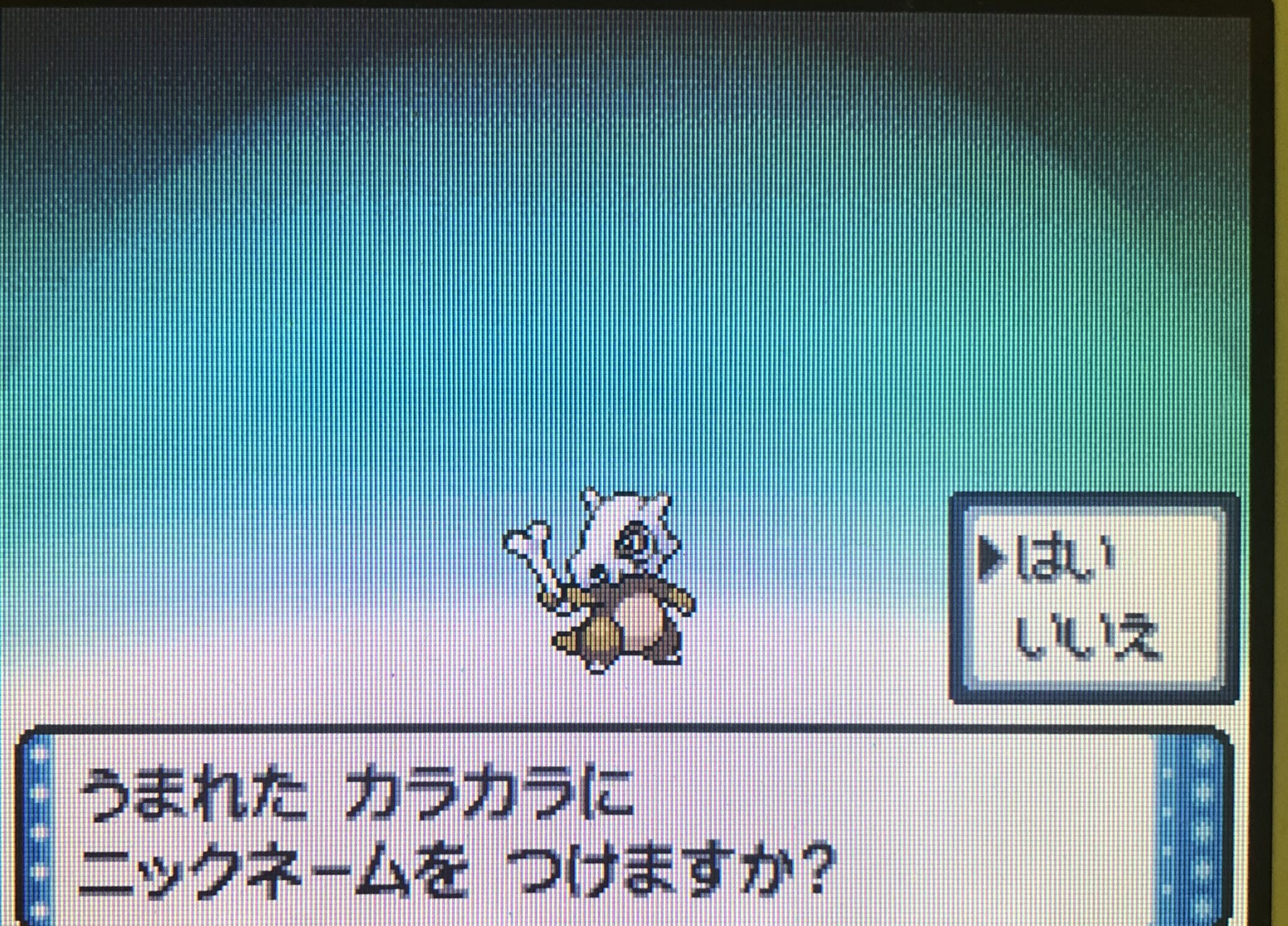 レゲェパンチ ポケモン 捕まえた数 300 ついに300まできちゃー やみのいし見つけんの大変だった きりばらいなくてほぼ見えんかった ポケモン ダイパ 毎日ポケモンゲットだぜ 図鑑完成 T Co Fa8kqraxwm Twitter