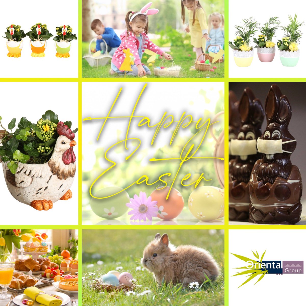 Namens Oriental Group wensen wij jullie allen een fijn en gezond Pasen.

The branches are many, the roots is one.
#eastern #easternegg #bunny #easternbunny #spring