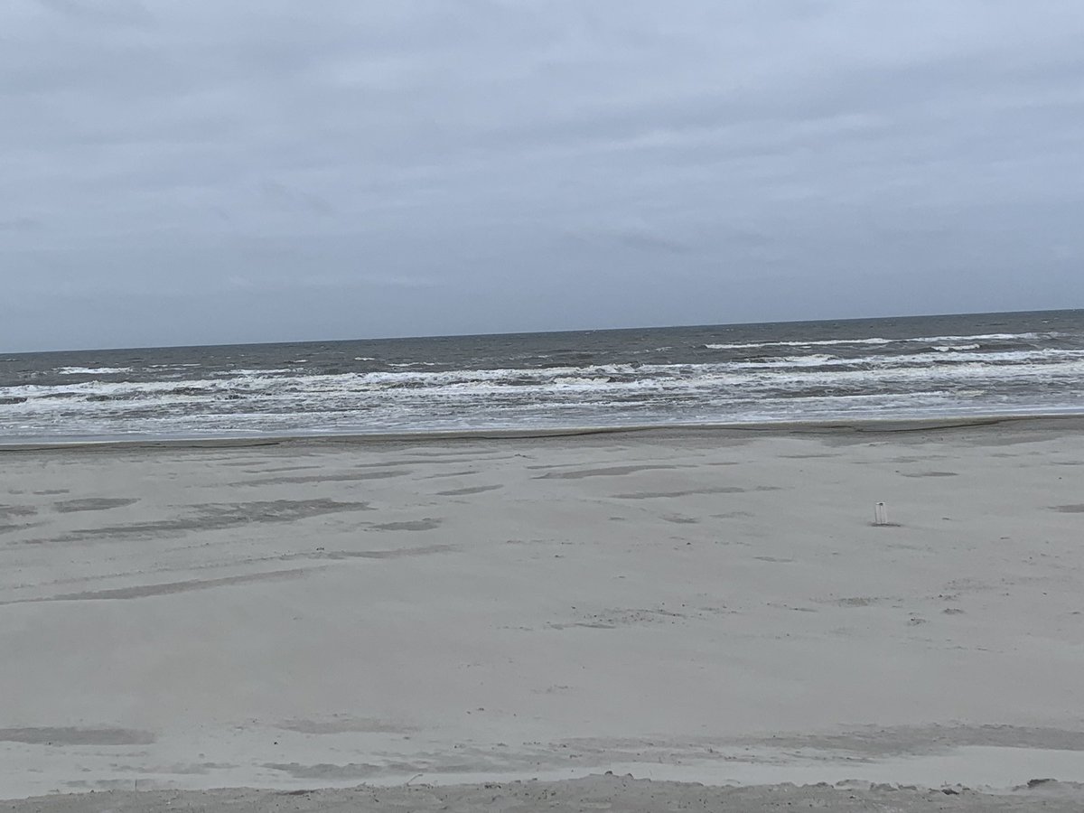 Peter Hanekamp tweet media