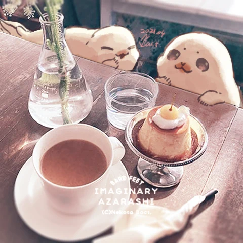 #アザラシのいる生活
かためのプリンに興味津々 