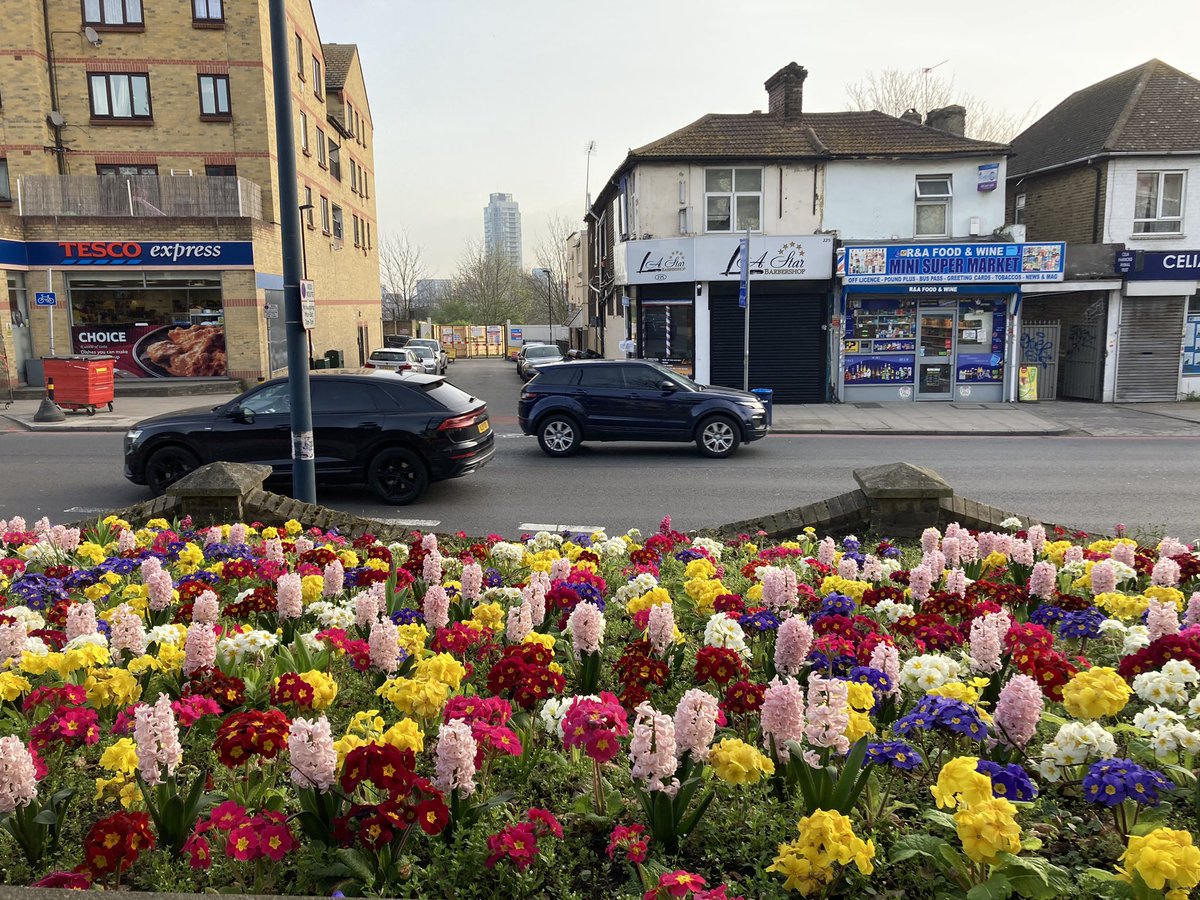 MandyLittle's tweet photo. Thanks for Spring colours in St John’s and Lewisham Way @brockstreetart @LewishamCouncil https://t.co/SVPSDELBRW
