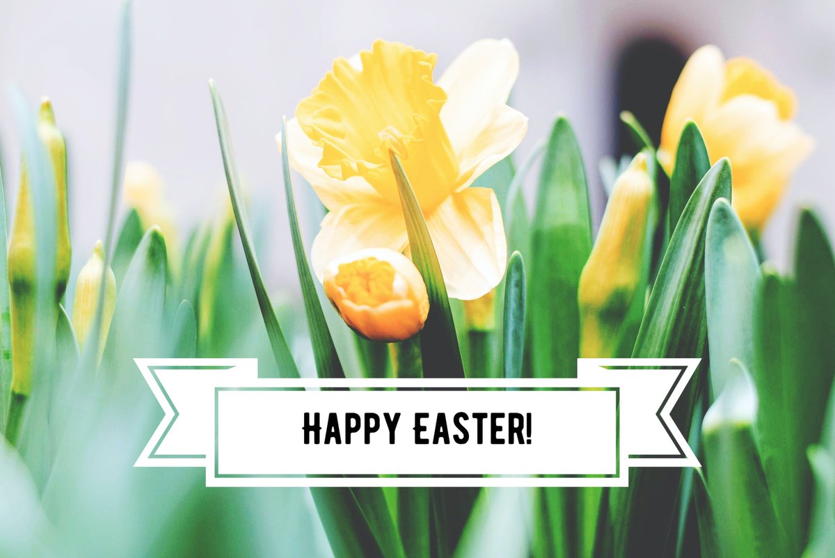 Happy Easter from Wells Maltings! A fun family activity this weekend - our Treasure Trail!
Download the clue sheet from our website and learn more about our lovely town... and become an official Wells Detective 🔎🌿💛
wellsmaltings.org.uk/lockdown-zoom-…