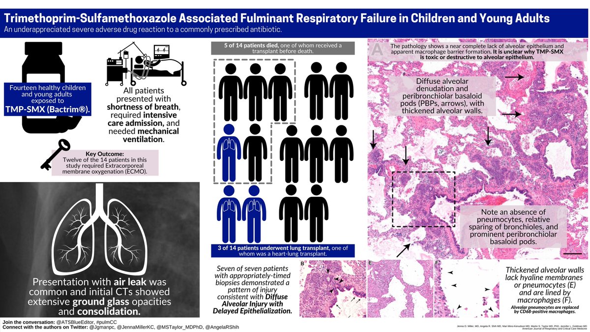 ATS Blue Journal tweet media