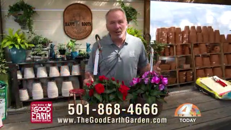 KARK4News's tweet photo. Spring's arrival brings a big demand for plants &amp; other gardening decor. In this week's Today Show Minute, the Good Earth Garden Center explains why you might have trouble finding some of the things you usually buy.
https://t.co/YtoRoMcS5t (Sponsored) #growingwithgoodearth https://t.co/wDOBEVQCgt