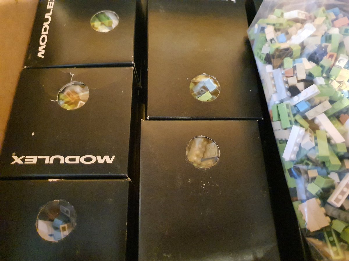 LauraProcy's tweet image. Exciting delivery #waytoomanybricks