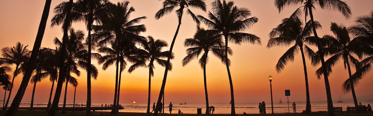 EdgeLightFilms's tweet photo. An unexpected development
We  begin principal photography in Hawaii next week on our feature 
A Hui Hou (Until We Meet Again) https://t.co/I9kxV7HQYT