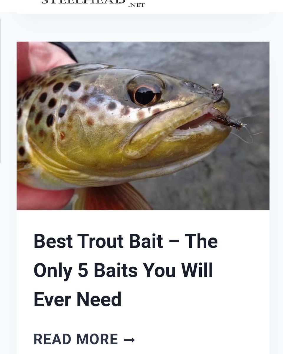 Graham Bristow tweet media