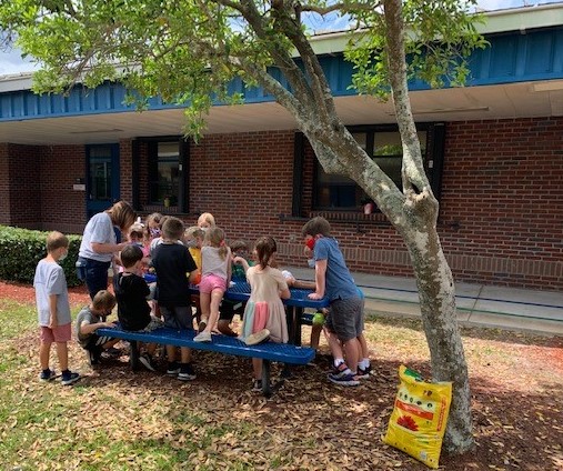MCSDFlorida's tweet photo. 🌻FUN IN THE SUN🌻
First graders at Felix A. Williams Elementary took advantage of Friday's beautiful weather by planting sunflowers! They enjoyed learning all about the planting process and took great care to make sure the sunflowers would be able to thrive.
#ALLINMartin👊 https://t.co/5t4RQWJyZ4