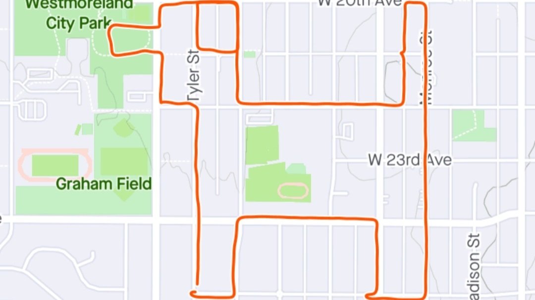 Emily Halnon tweet media