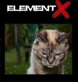 Element X tweet media