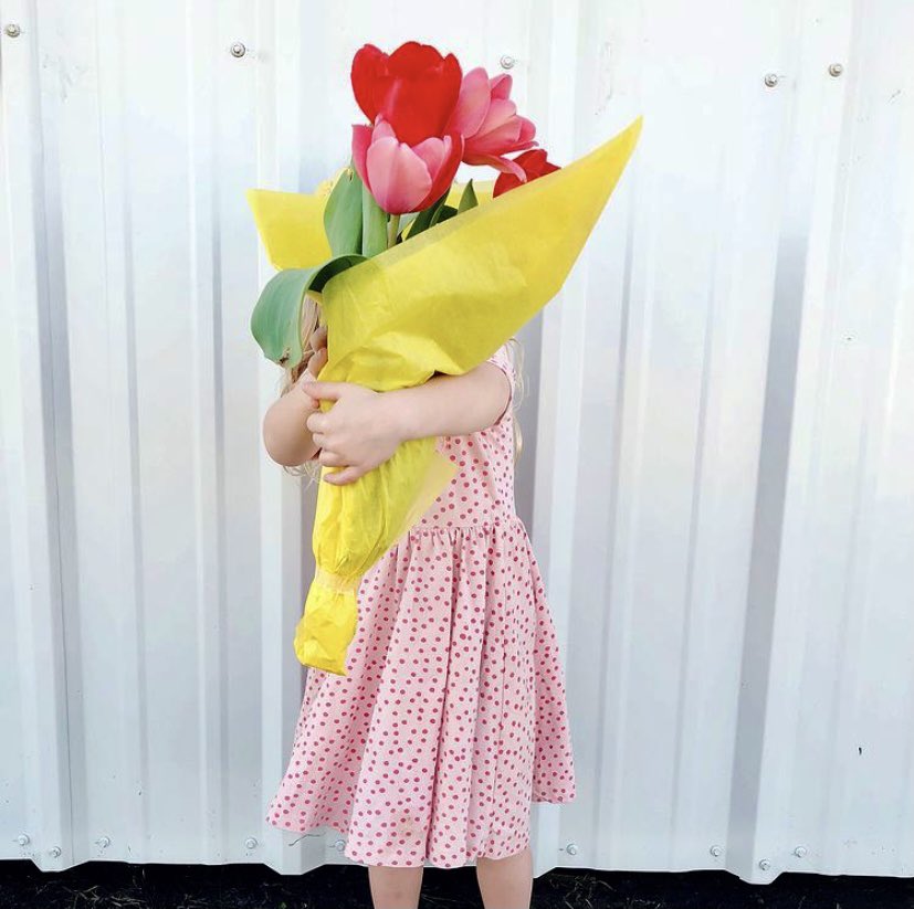 Texas-Tulips tweet media