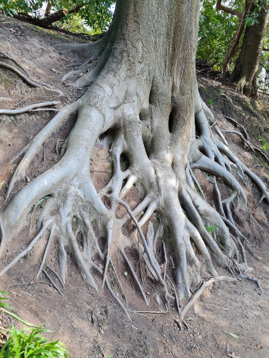 MrPDTaylor's tweet photo. Stunning way to start the holiday, Quarry Bank Mill with my girl gang enjoy and rest up all, a challenging but also memorable term! "through adversity we grow" See you in HT5 ;-) #wellbeing #time2rest #nationaltrust https://t.co/0q1vlvVMww