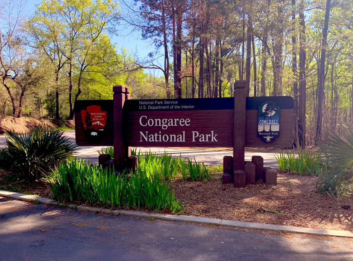 mikellazzo's tweet photo. Cross another one off the list! #CongareeNP #SC https://t.co/OInkWWjNZK
