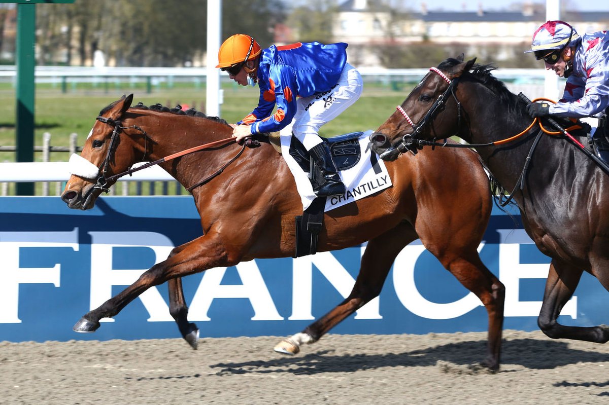 Lauréat classique en Suisse, MODERATOR (Rio de la Plata <a href="/harasdulogis/">julian ince</a>) a fait briller les couleurs d'Anton Krauliger vendredi <a href="/fgchantilly/">FG Chantilly</a>, avec <a href="/maximeguyon_off/">Maxime Guyon</a>. Le pensionnaire de <a href="/RossiCharley/">Rossi Charley</a> pourrait être revu au niveau BT plus tard dans la saison📷 <a href="/ScoopDyga/">ScoopDyga</a>