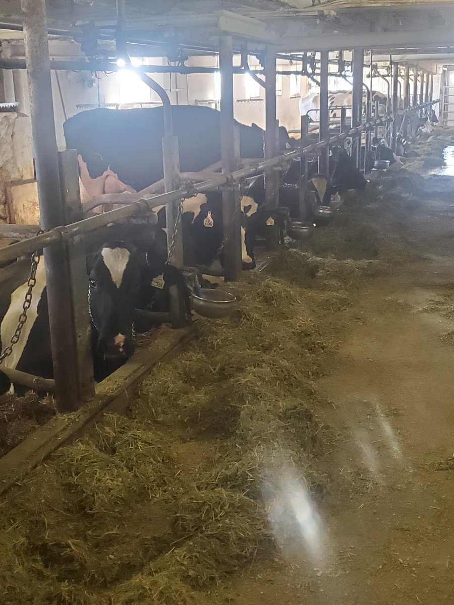 Jason Heimpel🧢 tweet media