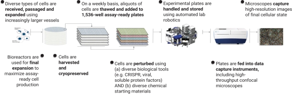 pa_agarwal's tweet photo. I have long been a fan of drug discovery platforms that are biological agnostic. These provide a good counterbalance to the more common approach of identifying the "right" protein to target based on what we know about the disease and pathway today.  1/7 https://t.co/xXVbDOrXPX