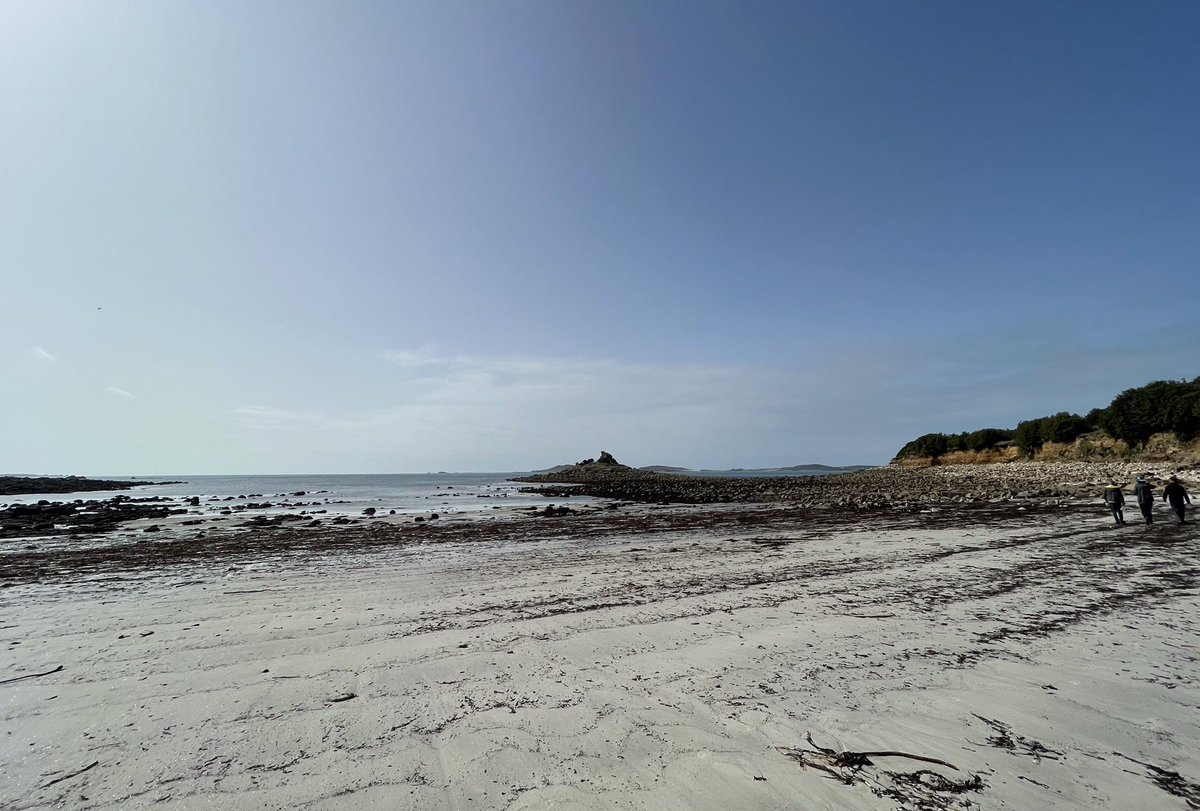 TheScillyOnion's tweet photo. The Good Friday ‘winkle’ picking low tide #Scilly https://t.co/XQFJE5V2qL