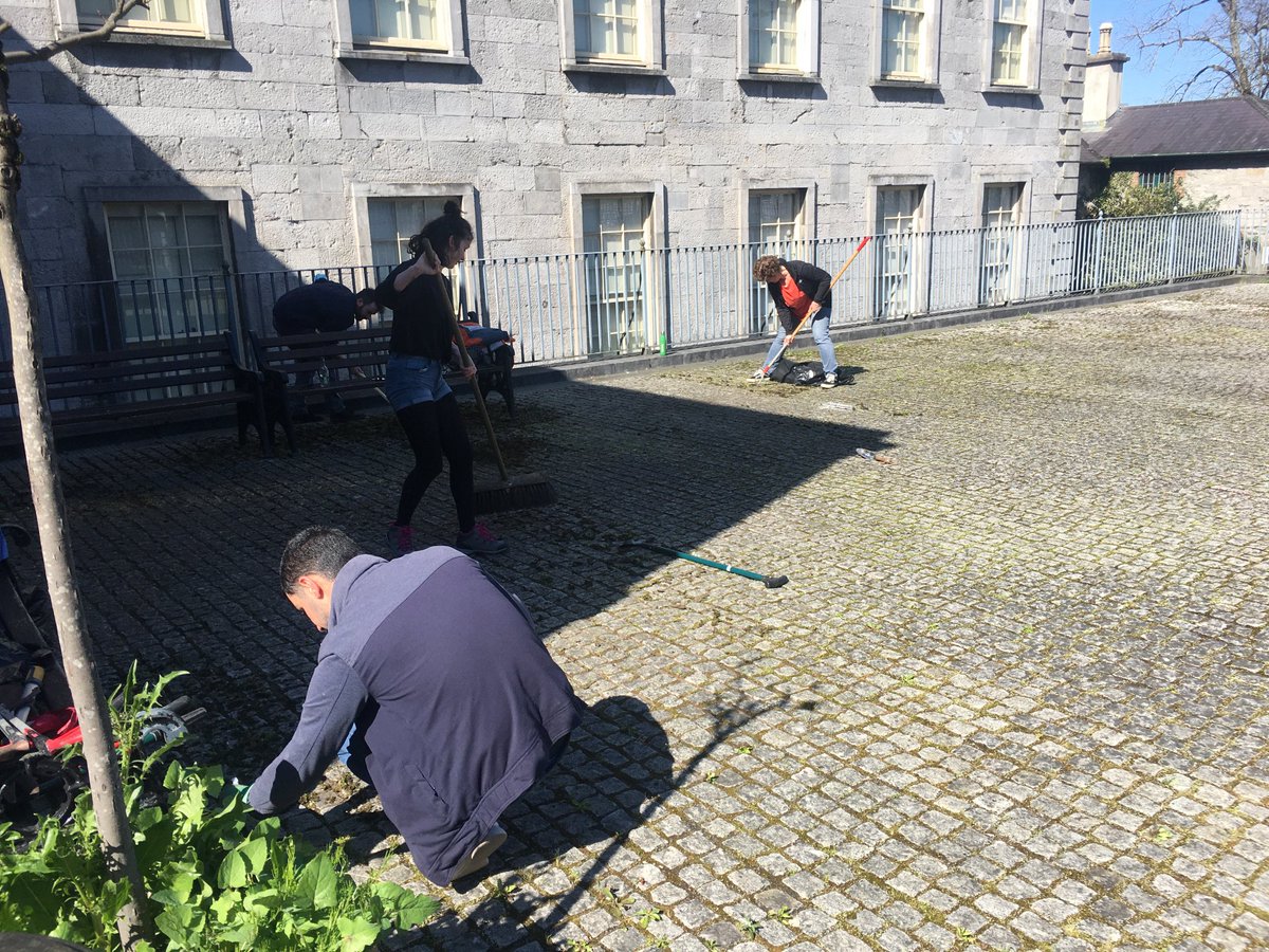 #TLC6 
#huntmuseun
Hunt Museum out in force