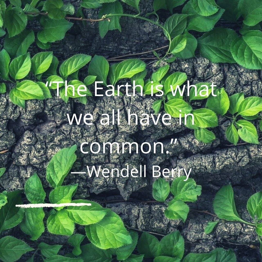 “One of the first conditions of happiness is that the link between man and nature shall not be broken.”

#quote #quoteoftheday #nature #earth