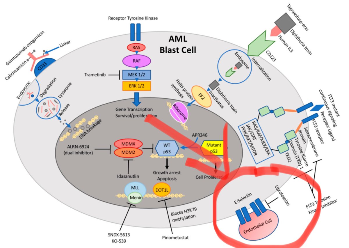 jmbiofarm's tweet photo. $GLYC note the unique, differentiated approach. Does the lack of competitive agents in that space invalidate the approach? IDK but it seems more likely to be IP related: https://t.co/3eJrEpKPjt https://t.co/znUanvEONG