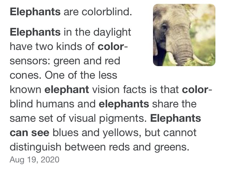 bikeleptic's tweet photo. @pennyfortheguy @StrangeAnimaIs Elephants don’t see color.
#NotAPoliticalStatement https://t.co/XOf6lIQIke