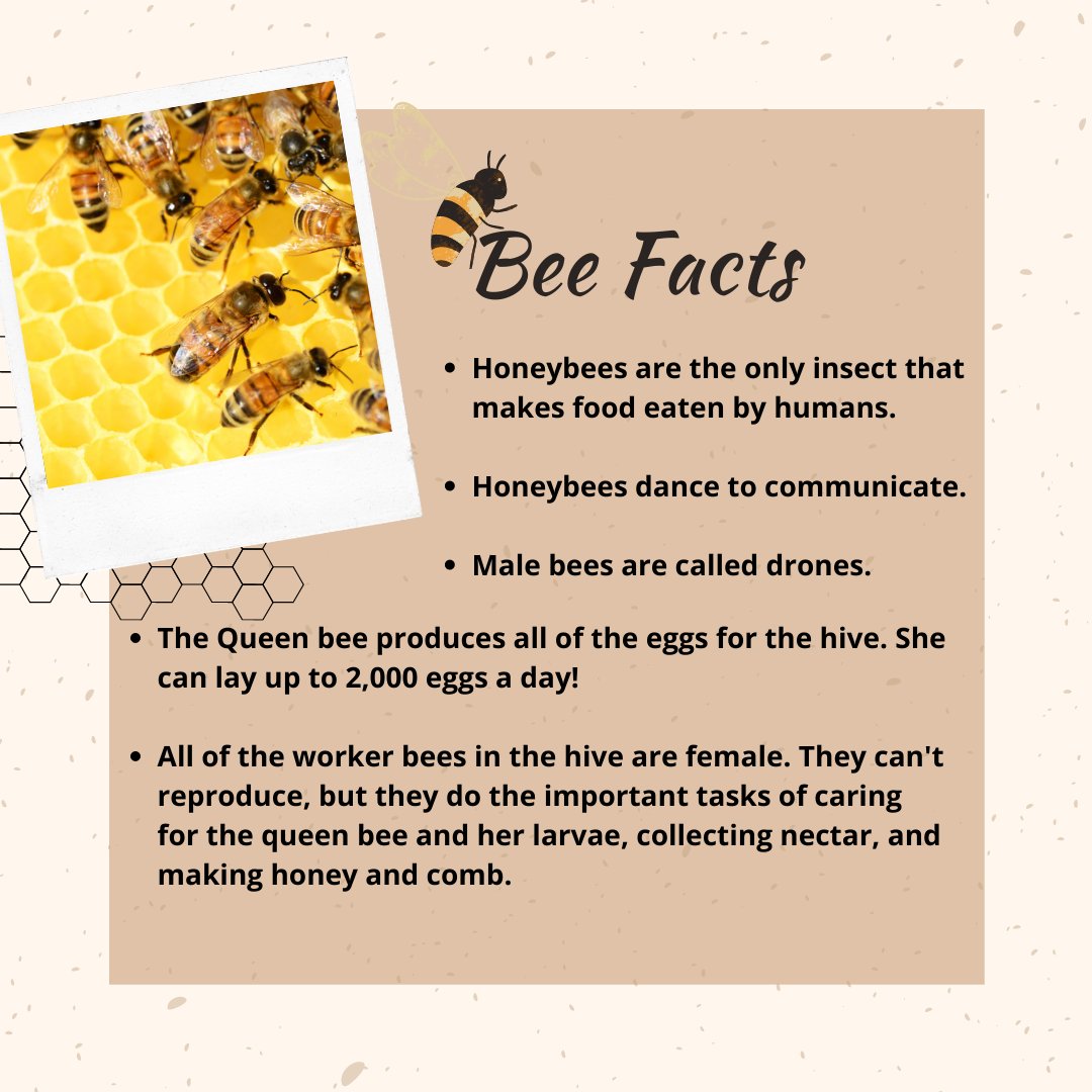 This month's #FarmFridayFun highlight is all about bees and honey! Check in each friday for new fun facts. 

What's your favorite fact about bees?
