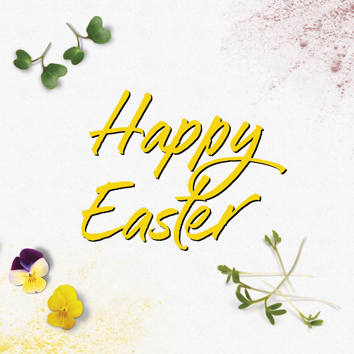 Happy Easter 🐣🌱🐰 Easter is around the corner, time to have a bit of fun with our menus. What about adding a bit of Garden Cress, Cornabria Blossoms (edible flowers) 🌸🌼🌺 or BroccoCress 🥦🌱 into the mix? #koppertcress #easter #broccocress #gardencress #cornabriablossom