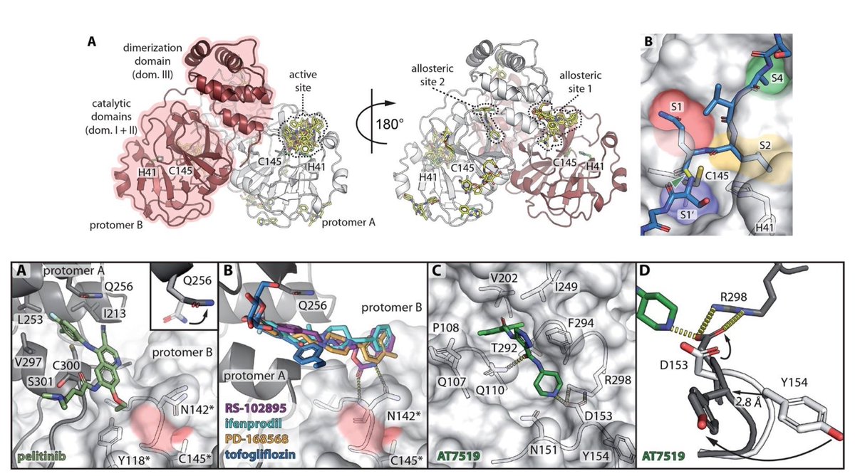 EricTopol's tweet photo. How do you find 37 new repurposed drugs that have direct #3D binding to #SARSCoV2's main protease to knock out its ability to replicate?
Like they did, with X-ray crystallography screening. Just published @ScienceMagazine 
https://t.co/aT7zEiYjZS https://t.co/b9nlhrwhO9