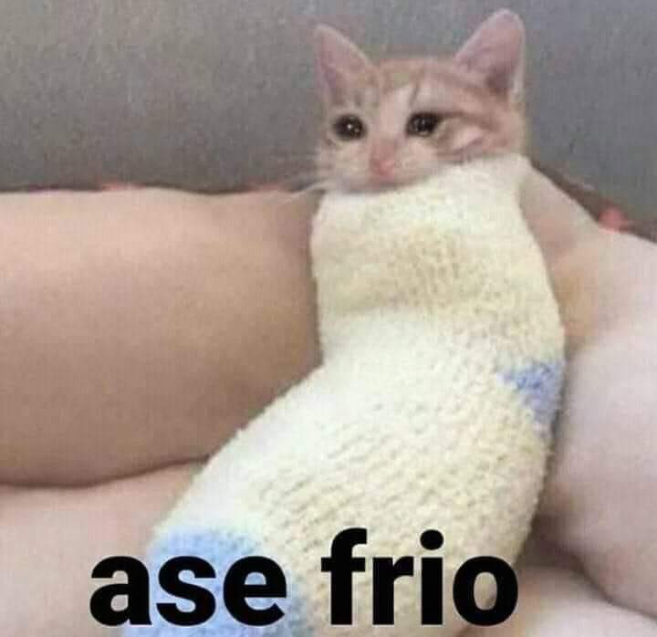 Guarromantico_'s tweet photo. - ¿No dijiste qué ibas a hacer ejercicio hoy?

Yo: https://t.co/gGnPfcoZP8