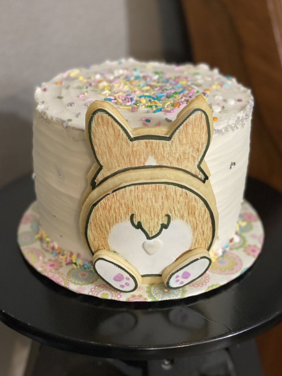 kelsie lee on X Mama made me the cutest corgi cake for my birthday . birthday corgi https t RbTnT6RTl2 X