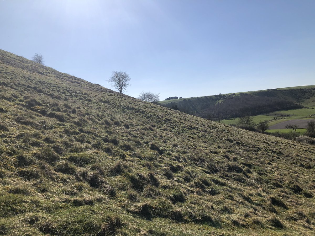 RustyTTheDisco1's tweet photo. Great to be back out walking. 

This really wasn’t the friendliest of finishes for first time out! https://t.co/RPgytQMknj