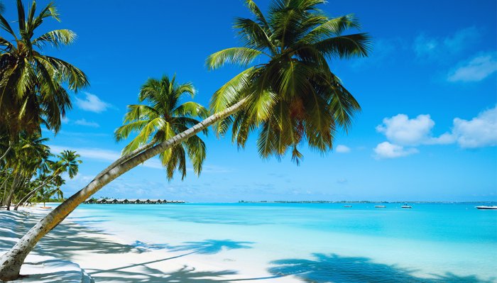 There is only one bingo square left to win a charter flight from <a href="/flyairunlimited/">Air Unlimited</a> to the beautiful Bahama Beach Club Resort for a three night stay for two! With only 30 squares total, the odds are in your favor! <a href="/SeaplanesOrg/">Seaplane Pilots -SPA</a> 

jonesairandsea.com/bingo